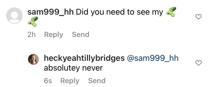 a DM from a chaser asking if I need to see his [cucumber emoji], and me replying "absolutely never"