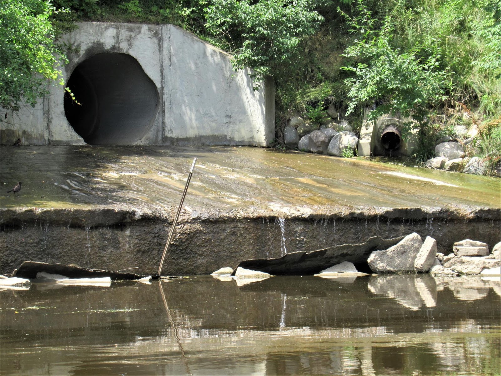A stormwater runoff concrete drainage pipe, coming out of a plant-filled hillside to direct the water into a lake