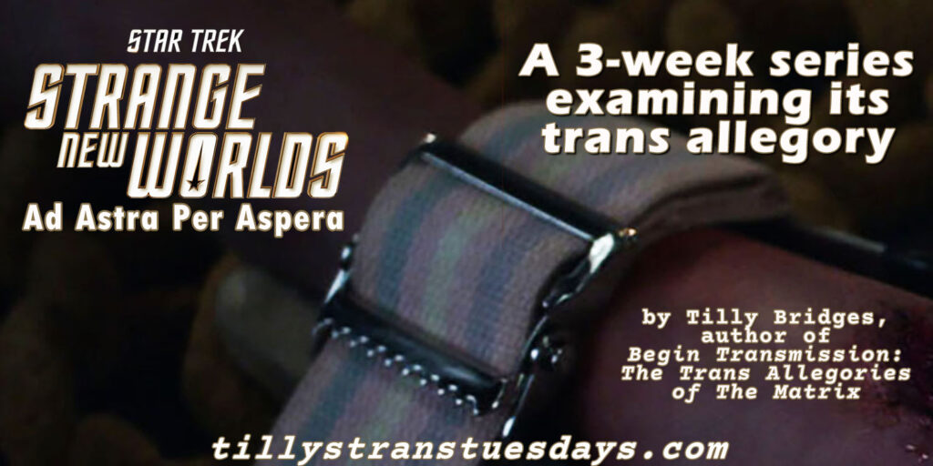Star Trek Strange New Worlds Ad Astra Per Aspera, a 3-week series examining its trans allegory, by Tilly Bridges, author of Begin Transmission: The Trans Allegories of The Matrix, tillystranstuesdays.com, over a photo of a trans pride-flag buckle on a leg brace