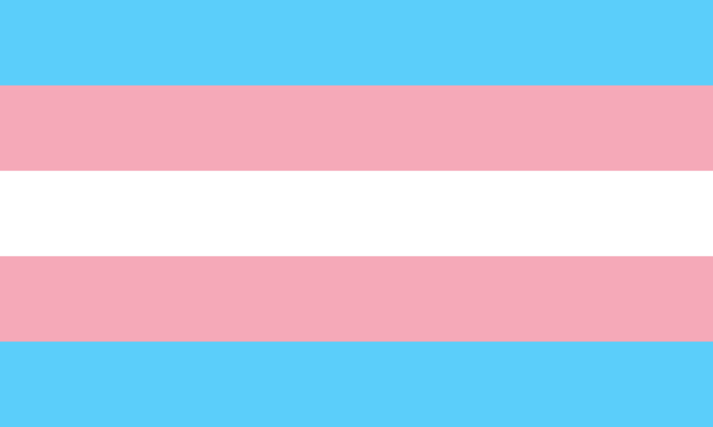 A trans pride flag with stripes in blue/pink/white/pink/blue