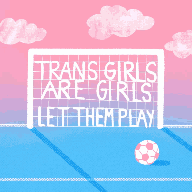 a soccer goal and ball with the words "trans girls are girls, let them play" inside the goal, all in trans pride colors