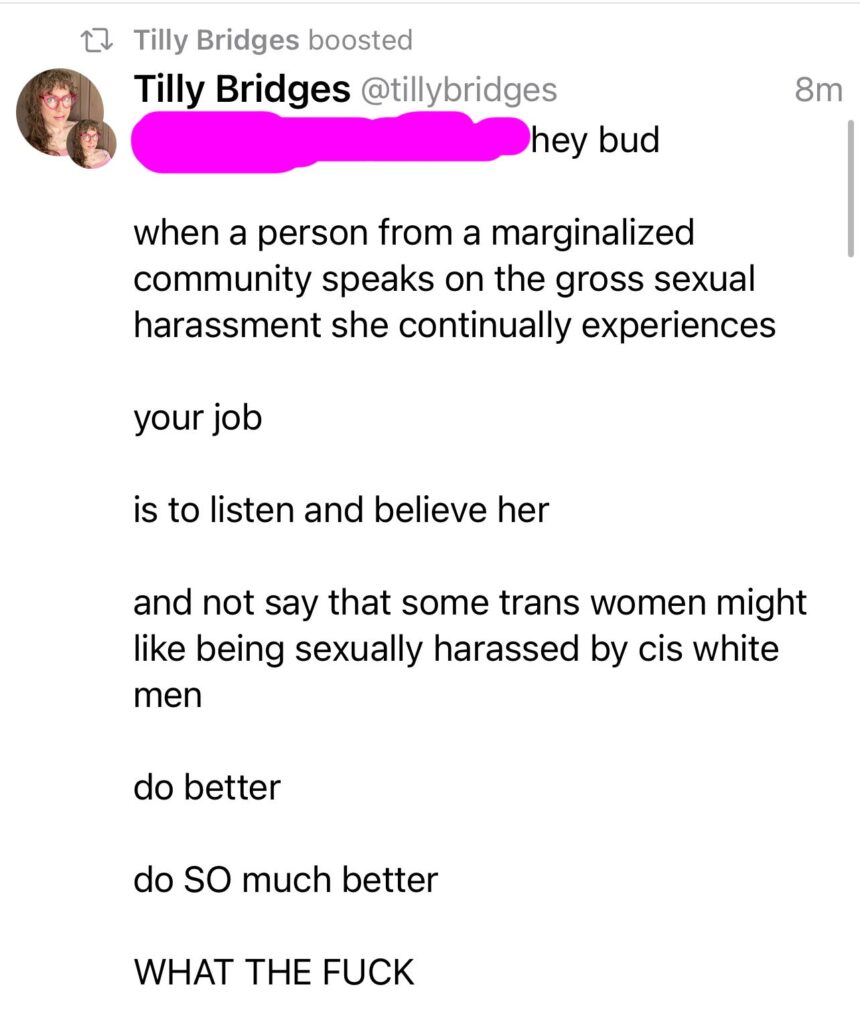 A reply I posted on mastodon: hey bud. When a person from a marginalized community speaks on the gross sexual harassment she continually experiences, your job is to listen and believe her. And not say that some trans women might like being sexually harassed by cis white men. Do better. Do SO much better. WHAT THE FUCK.
